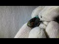 wunderschöner Boulder Opal Anhänger