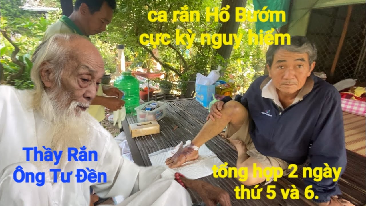 P207, Thầy Rắn (Ông Tư Đền)tổng hợp lại 2 ngày ca Rắn Hổ Bướm nọc độc cực kỳ nguy hiểm 