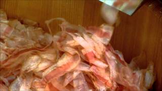 鰹節削り　実演　（株式会社　丸藤）