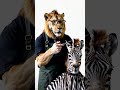 Cool Barber 😂 |Brighten Your Day with a Smile #funshorts #funny   #shorts #relaxing