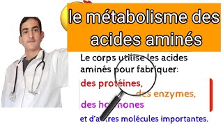 le métabolisme des acides aminés