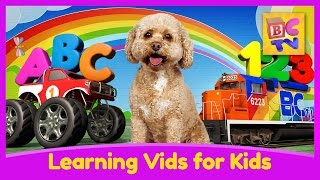 Educational Videos For Kids Brain Candy Tv Channel Trailer V2