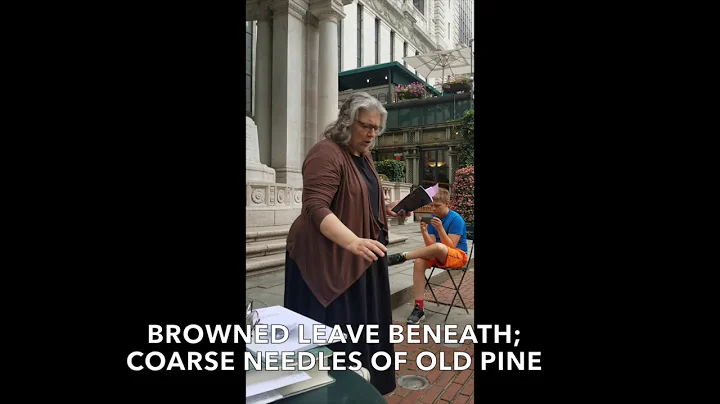 Bryant Park Poetry Reading - Theresa Rodriguez - S...