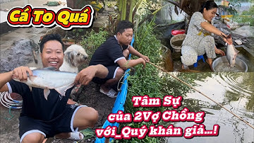 Câu Cá Vồ_Mà Dính Toàn Cá Rô_Và Cái Kết..Chài Được Cá To Vào Nhà Làm Bữa Cơm Ngon Quá Đã…