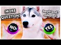 Dog Answers MORE Fan Questions Using Talking Buttons!