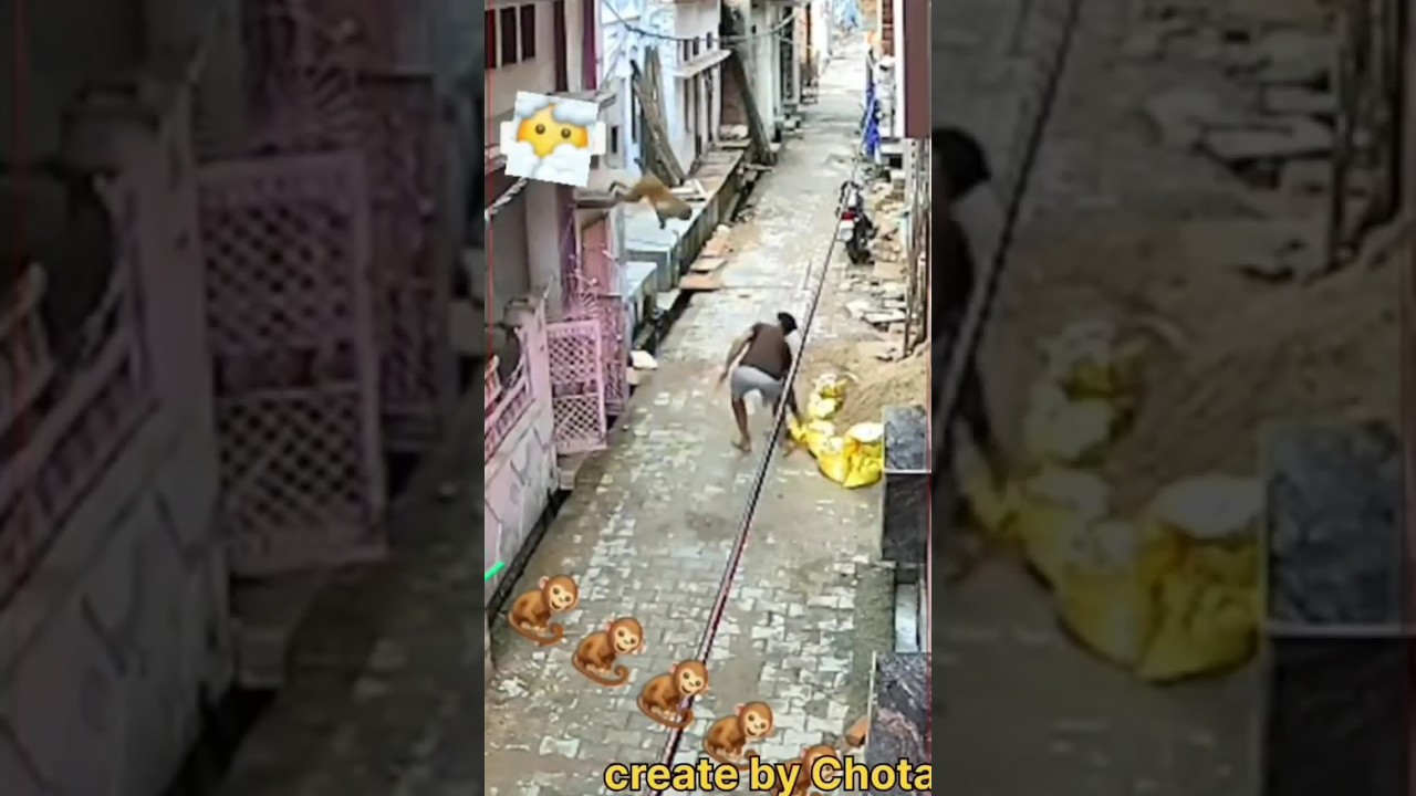 monkey attack on man 😁😁monkey ne patak diya 😂😂