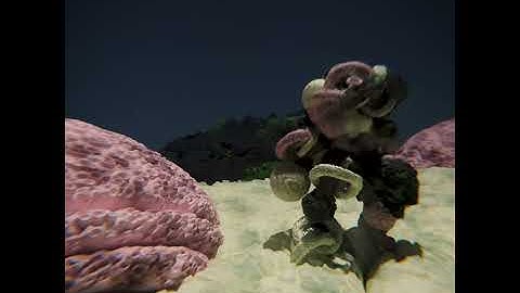 Coral Man