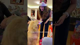 Giving our dog his Christmas gift.🎁#funny #animals #christmas #christmasgifts #dog #animallife