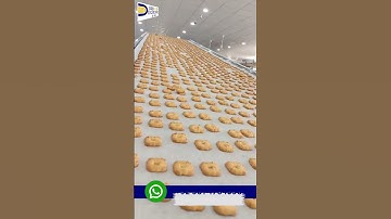 Cookies Making Machine #shorts