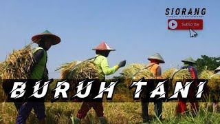《BURUH TANI》 Versi Suporter Bola