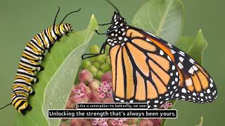 Breaking Through Limits Music Video