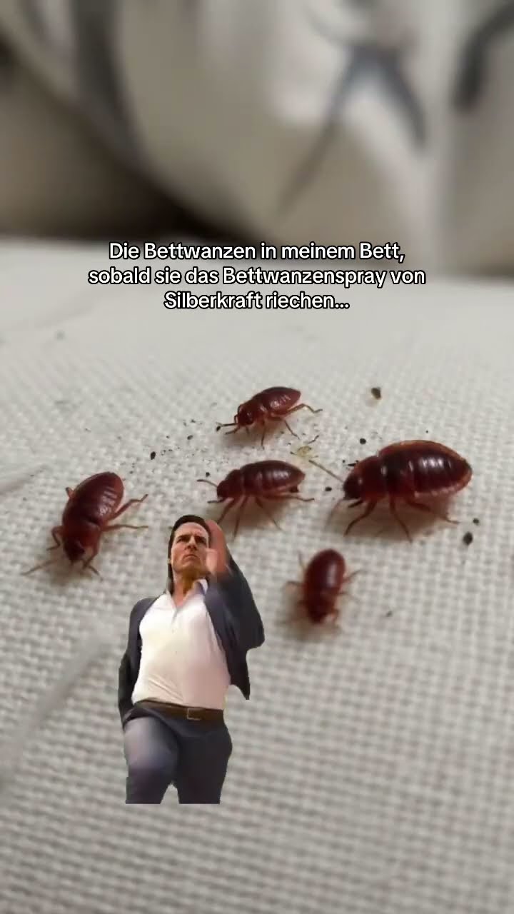 Sei schlau, greif zu Silberkraft! 🤓#bettwanzen
