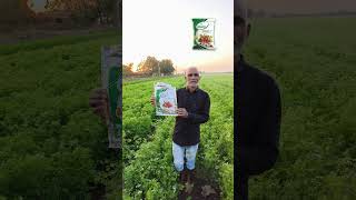 Belly-B Available On Indiamart