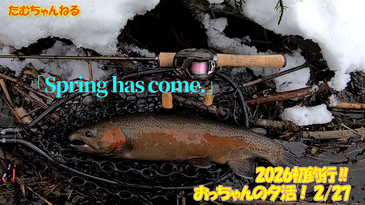 2026シーズン初釣行‼　やっぱり虹鱒からスタートが最高。（2／27夕活）