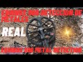 METAL DETECTION, EQUINOX 800 REAL??? ESTO ENCONTRE AQUI