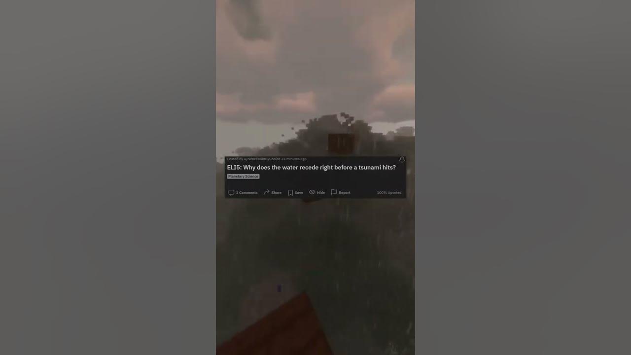 Video of water receding before tsunami