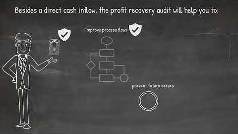Profit Recovery Audit