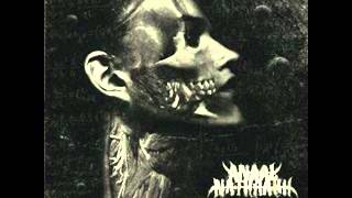 Anaal Nathrakh - Make Glorious The Embrace Of Saturn