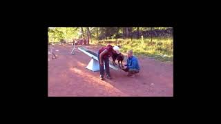 Start button in teeter training