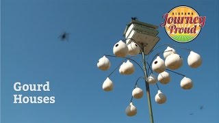 Journey Proud | Gourd Houses | Season 1  Episode 1 | Alabama Public Television