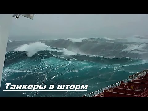 Video: Vrijeme i klima u Napulju, Florida