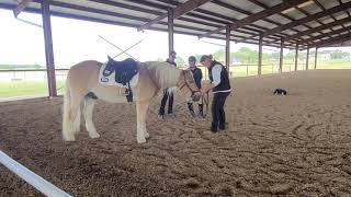 Straightness Training 1