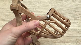 Muzzle Training Part Two Muzzle Training For Dog Trainers Teach Nose Targeting And Proof It