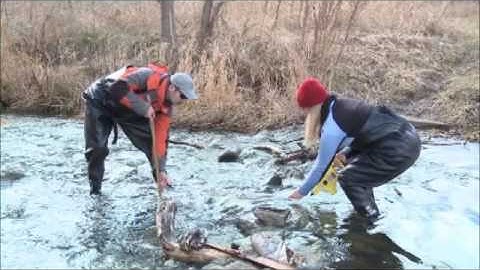 S4 M9 - Instream Crossing and Barrier Attribution