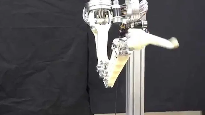 LIMS, the Fast and Safe Robot Arm - Fast Motion Test