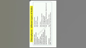 Chlorophyceae (Green Algae) - different thallus | neet biology | class 11th biology | @inditeaching