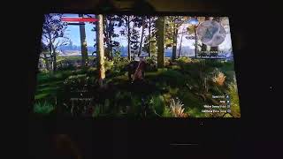 The Witcher 3 Nintendo Switch Runs at 60FPS with Enhanced Graphics Settings