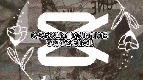 Capcut Editing Tutorial - the funniest one! 