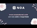 NOA - Tudo come&ccedil;a com uma semente...