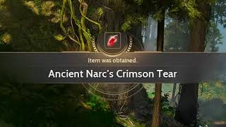 Narc's Crimson Tear - DONE - Black Desert SEA