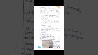 Information education psychology unit 1 phases of development Guide