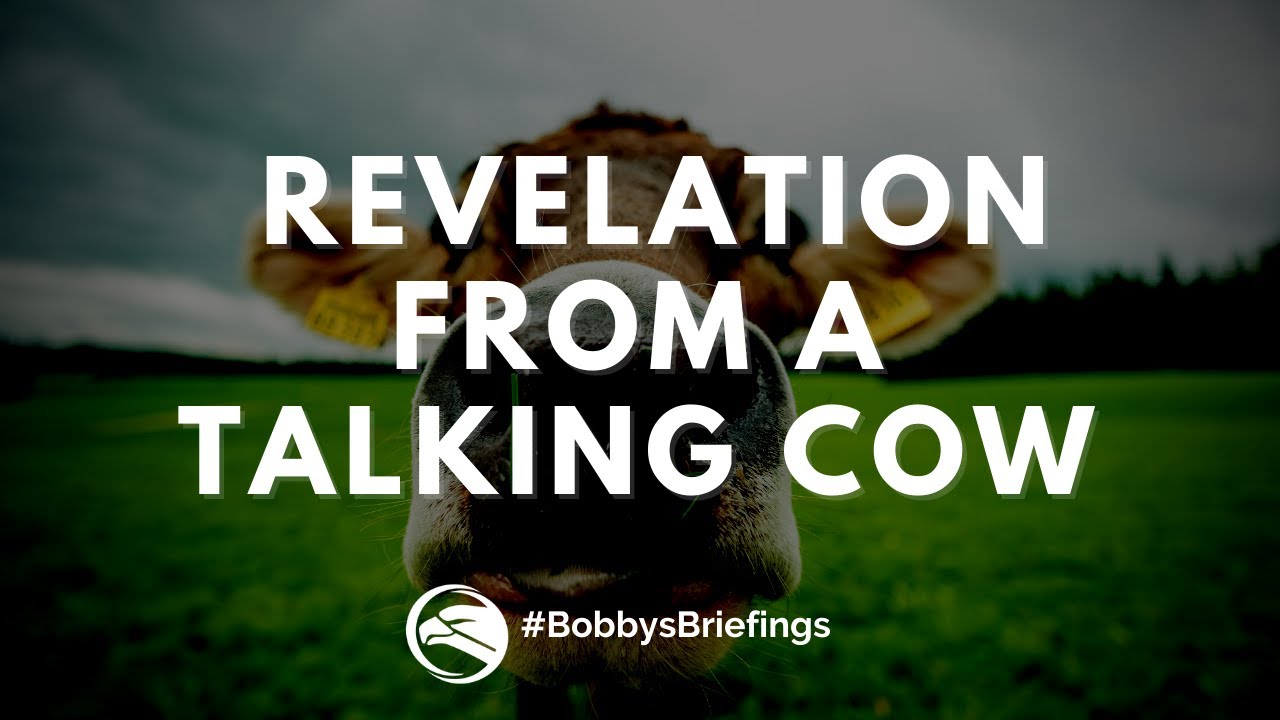 Revelation from a talking cow 🐮