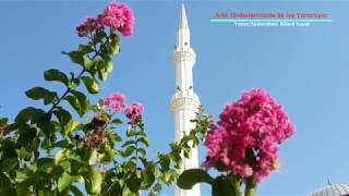 ARTIK TÖVBELERİMİZDE BİR İŞE YARAMIYOR / TEFEKKÜRNÂME