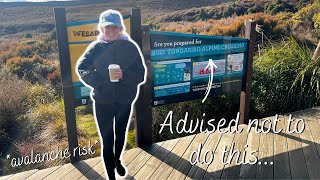 A few days in New Zealand with me! Baby alpacas, glow worms & dangerous hikes...