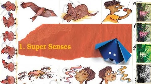 #evs #class5 #cbseboard  #ncertsolutions |Super Senses|Questions & Answers| @INDIANCULTURE005