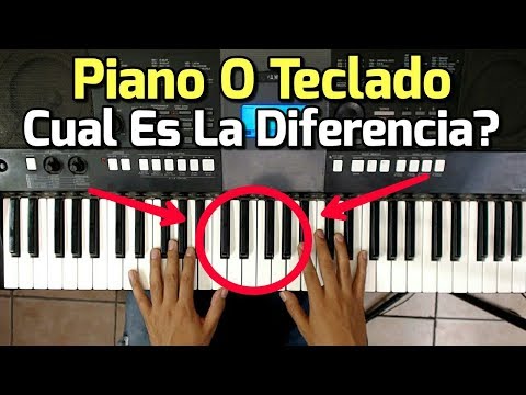 Vídeo: Diferencia Entre Teclado Y Piano Digital