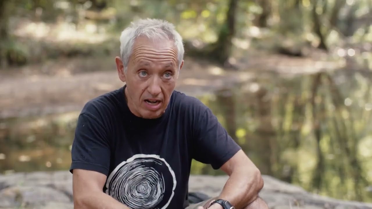 La Dipu, el govern desconegut’