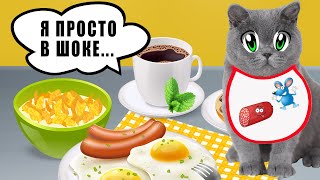 СМЕШНОЙ КОТЁНОК ОБИДЕЛСЯ - 33 КОТЁНКА