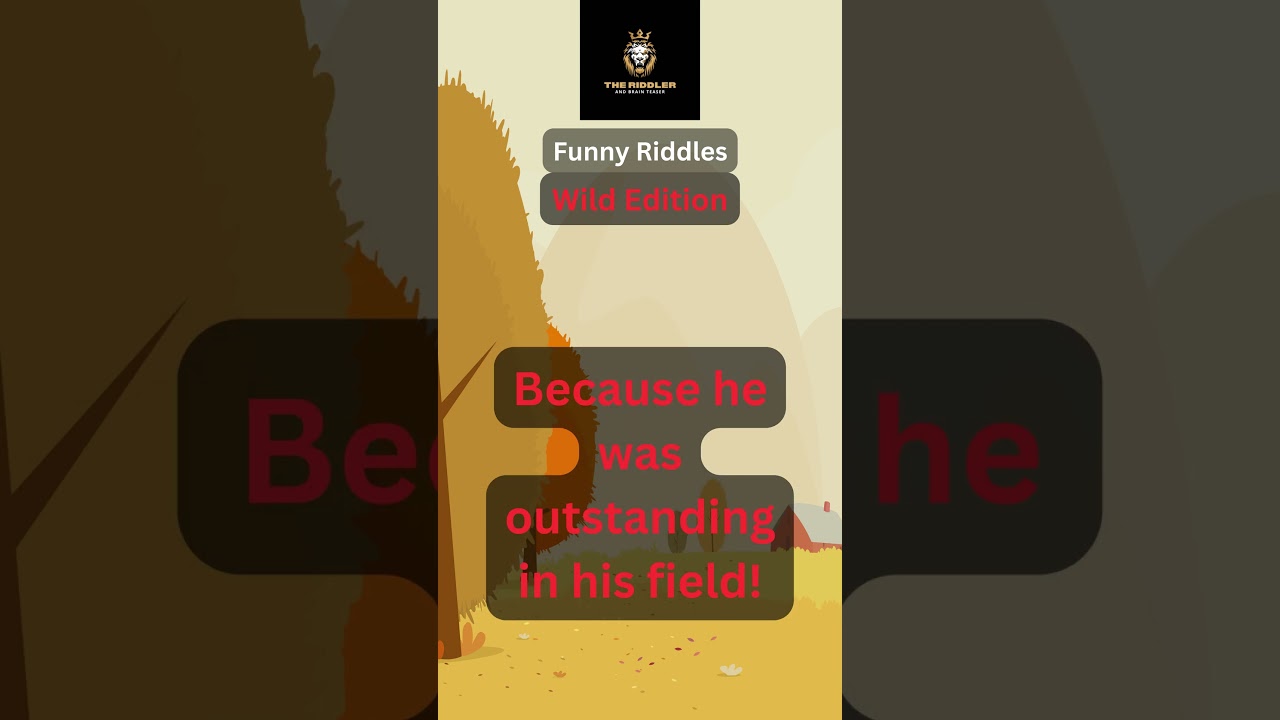 For A Laugh, Any Funny Answers Allowed!The Riddler and Brain Teaser 