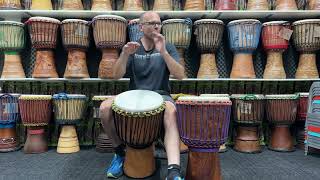 Primo Series Djembes -Turbo & Gold Rush
