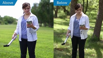 Measuring Leaf Area Index