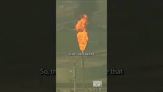 Hurricanes Should Be Named After Fossil Fuel Firms: Mikaela Loach, Jamaican British Climate Activist