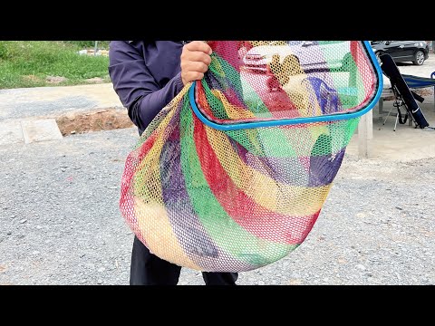 Trôm LỢN của vợ và cái kết đi bụi || Hồ câu Vip 61 Bình Dương || Chung Nguyễn Fishing