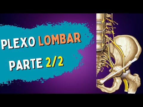 PLEXO LOMBAR / LOMBOSSACRAL | Parte 2/2