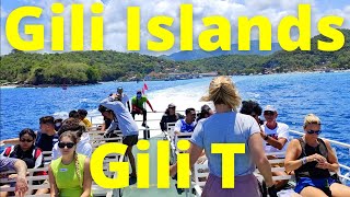 Gili T Island  Lombok NO Cars Lil Gem Hotel, Walkabout & More!