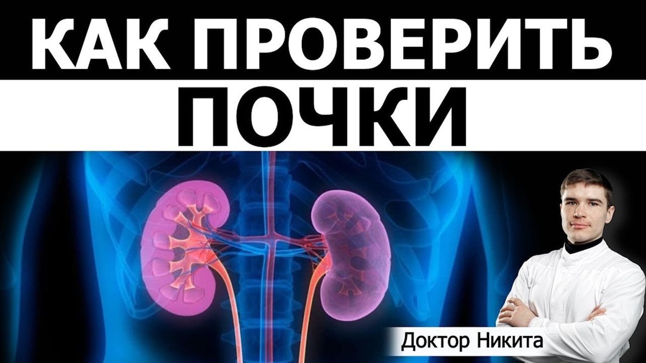 Съедаю много белковой пищи на кето/карнивор. Как проверить состояние ...